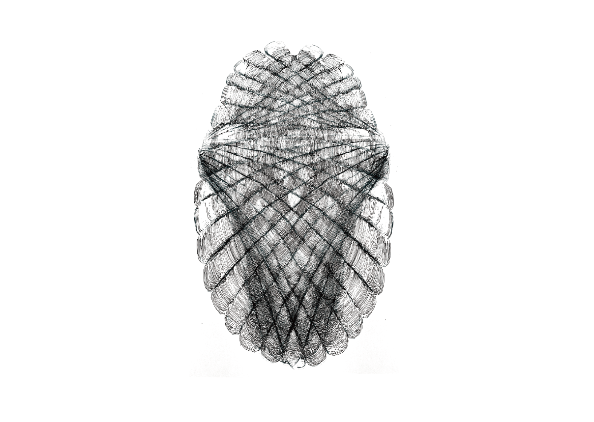 poster: polished color Image 3